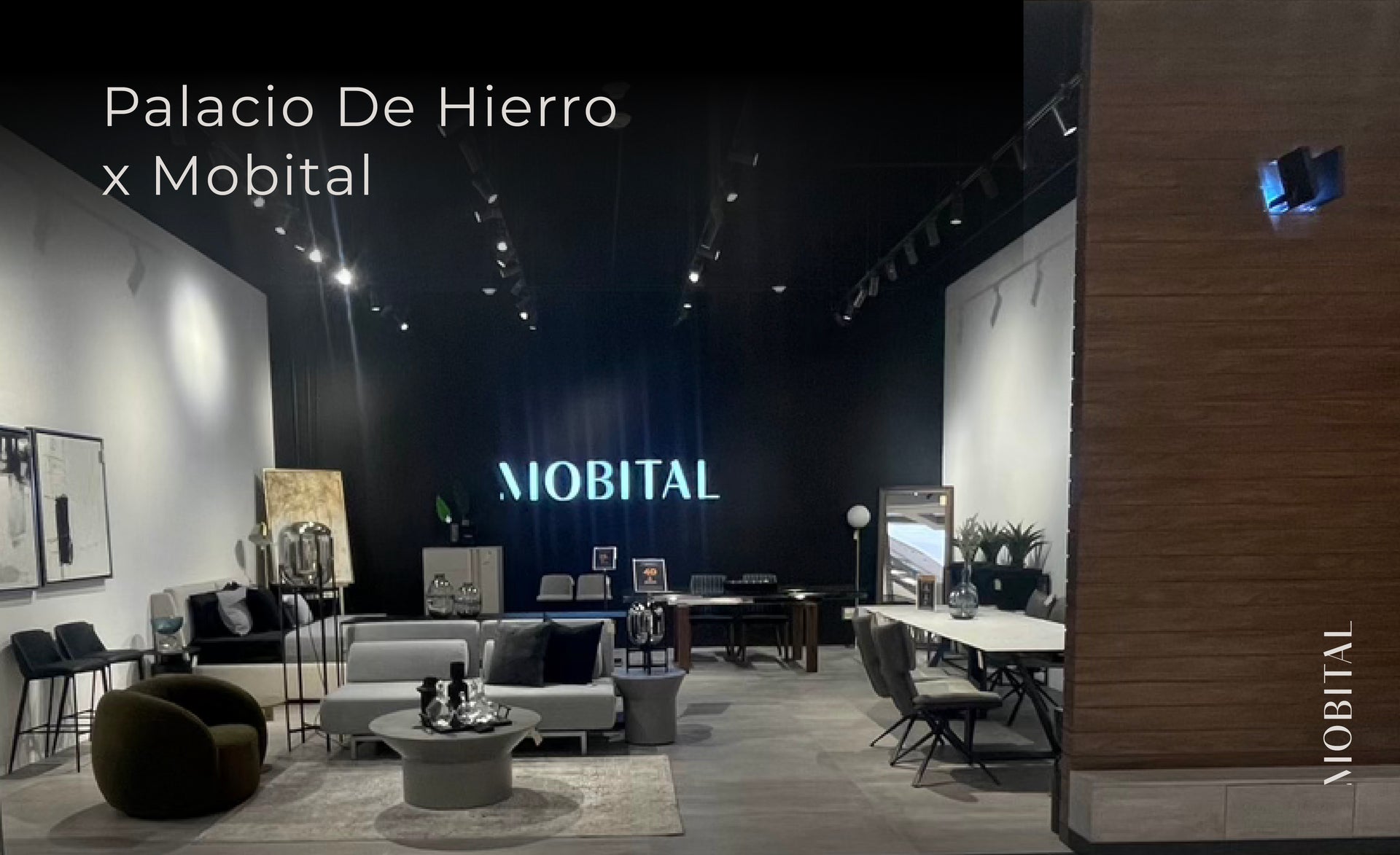 Mobital x Palacio De Hierro Mobital Group